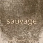 Sancerre ‘Sauvage’ 2017 Pascal Jolivet